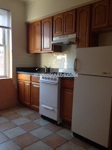 Allston/brighton Border Apartment for rent 1 Bedroom 1 Bath Boston - $2,100 No Fee