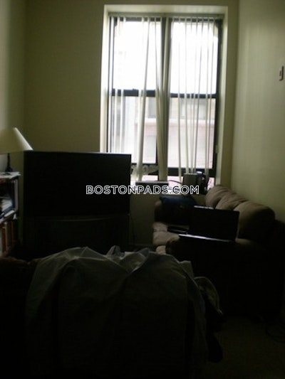 Downtown Apartment for rent 1 Bedroom 1 Bath Boston - $2,700 No Fee