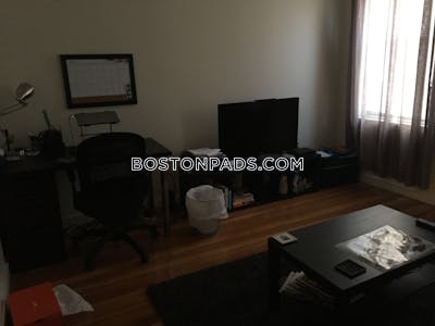 Northeastern/symphony Apartment for rent 1 Bedroom 1 Bath Boston - $3,050 No Fee