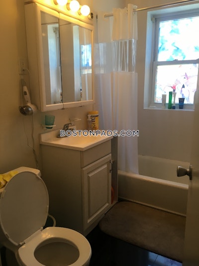 Allston Apartment for rent 1 Bedroom 1 Bath Boston - $2,700