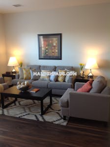Malden Apartment for rent 2 Bedrooms 2 Baths - $3,565