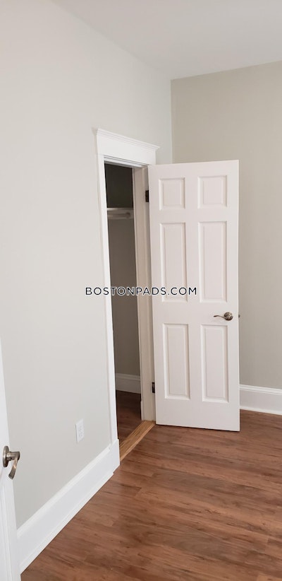 Allston 2 Bed 1 Bath BOSTON Boston - $3,100 No Fee