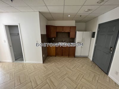 Chinatown Incredible 2 Beds 1 Bath on Kneeland St Boston - $2,900