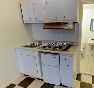 Back Bay Studio 1 Bath Boston - $2,900 No Fee