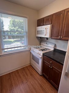 East Boston 1 Bed 1 Bath Boston - $2,500