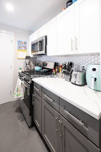 South End 1 Bed 1 Bath BOSTON Boston - $3,300