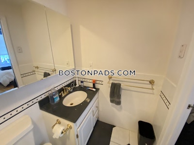 Back Bay 2 Bed 2 Bath BOSTON Boston - $6,600