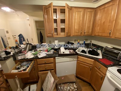 Newton Studio 1 Bath  Chestnut Hill - $2,500