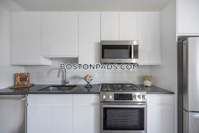 East Boston 2 Beds 2 Baths Boston - $3,900 No Fee