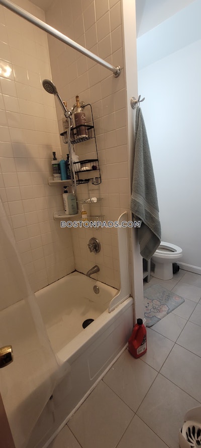 Mission Hill 6 Bed 4 Bath BOSTON Boston - $8,850