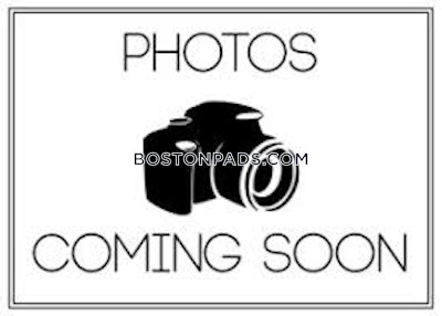 Allston/brighton Border Apartment for rent Studio 1 Bath Boston - $2,045 No Fee