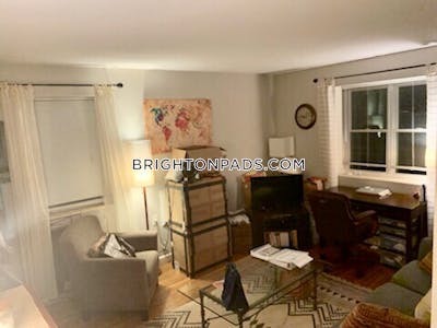 Brighton Apartment for rent 1 Bedroom 1 Bath Boston - $2,295 No Fee