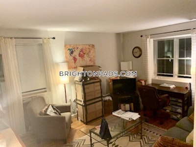 Brighton Apartment for rent 1 Bedroom 1 Bath Boston - $2,295 No Fee