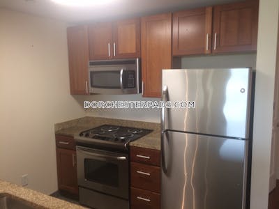 Dorchester Apartment for rent 1 Bedroom 1 Bath Boston - $8,777 No Fee