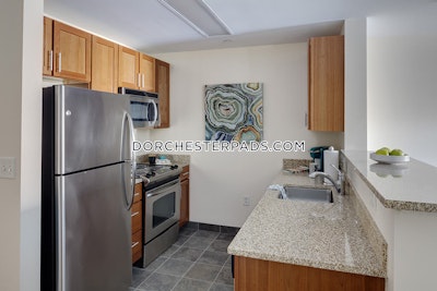 Dorchester Apartment for rent Studio 1 Bath Boston - $6,354 No Fee
