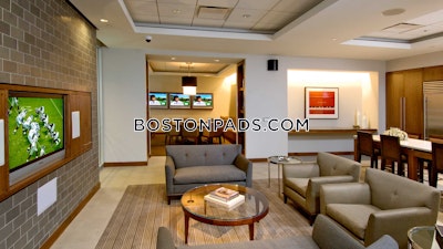 Downtown Apartment for rent 1 Bedroom 1 Bath Boston - $4,235