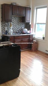 Jamaica Plain Apartment for rent 3 Bedrooms 1 Bath Boston - $3,700