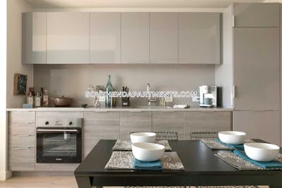 South End Apartment for rent Studio 1 Bath Boston - $3,350