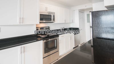 West End Apartment for rent 2 Bedrooms 2 Baths Boston - $5,165