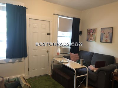 Brighton Apartment for rent 1 Bedroom 1 Bath Boston - $2,450 No Fee