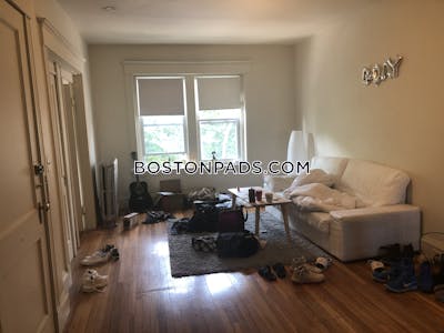 Brighton 3 Beds 1 Bath Boston - $3,545 No Fee