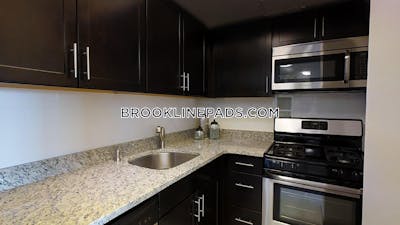 Brookline Apartment for rent 2 Bedrooms 1.5 Baths Boston University - $3,800 No Fee