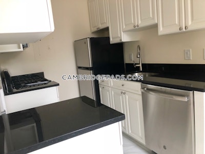 Cambridge Apartment for rent 1 Bedroom 1 Bath  Harvard Square - $3,225 No Fee