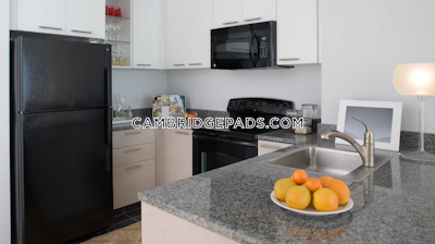 Cambridge Apartment for rent Studio 1 Bath  Kendall Square - $3,206
