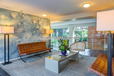 Cambridge Apartment for rent 2 Bedrooms 1 Bath  Kendall Square - $3,920 No Fee