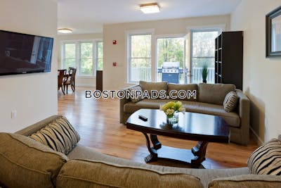 Cambridge Apartment for rent 2 Bedrooms 2 Baths  Mt. Auburn/brattle/ Fresh Pond - $4,500 No Fee