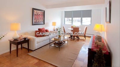 Cambridge Apartment for rent 1 Bedroom 1 Bath  Porter Square - $3,112 No Fee