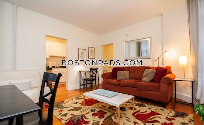 Brookline Apartment for rent 1 Bedroom 1 Bath  Cleveland Circle - $4,800