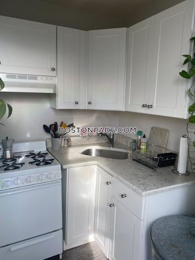 Allston Apartment for rent 1 Bedroom 1 Bath Boston - $2,390