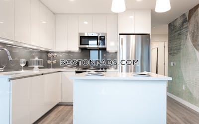 West End Apartment for rent 2 Bedrooms 2 Baths Boston - $11,020