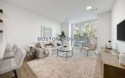 Brighton Apartment for rent 1 Bedroom 1 Bath Boston - $3,194