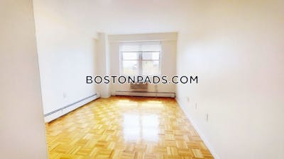 Brookline Apartment for rent 1 Bedroom 1 Bath Boston University - $3,150 No Fee