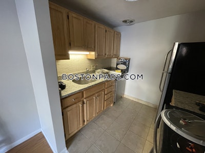 Brookline Apartment for rent Studio 1 Bath  Boston University - $2,550 No Fee