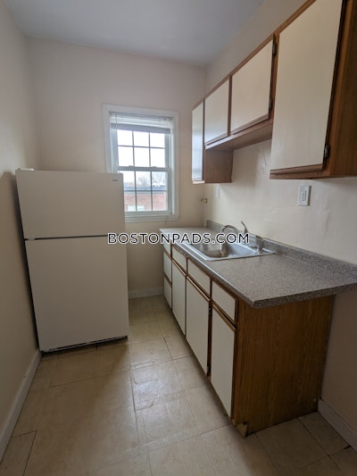 Allston Apartment for rent 1 Bedroom 1 Bath Boston - $2,550 No Fee