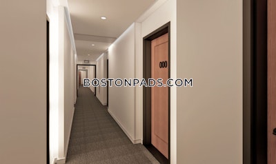 Allston/brighton Border Apartment for rent 1 Bedroom 1 Bath Boston - $3,350