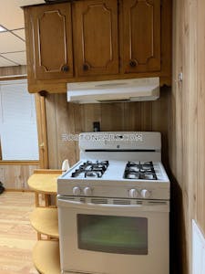 Dorchester/south Boston Border 1 Bed 1.5 Baths Boston - $2,400