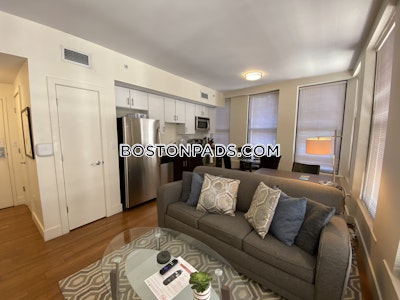Downtown 1 Bed 1 Bath BOSTON Boston - $3,400 50% Fee