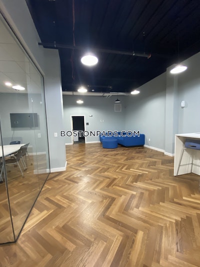 Mission Hill Apartment for rent 3 Bedrooms 2 Baths Boston - $4,900