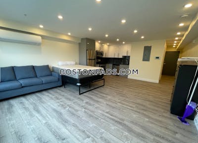 Allston Apartment for rent Studio 1 Bath Boston - $2,900 No Fee