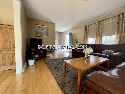 Arlington 3 Beds 1.5 Baths - $4,250 No Fee