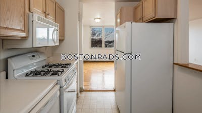 Cambridge Apartment for rent 1 Bedroom 1 Bath  Porter Square - $3,055 No Fee