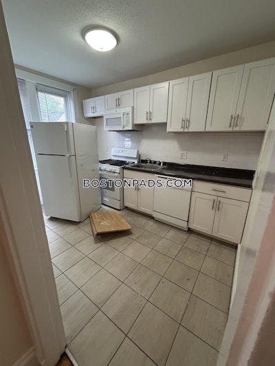 Allston Apartment for rent 1 Bedroom 1 Bath Boston - $2,300 No Fee