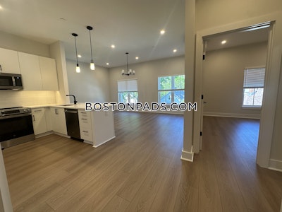 Brighton Apartment for rent 2 Bedrooms 2 Baths Boston - $4,250