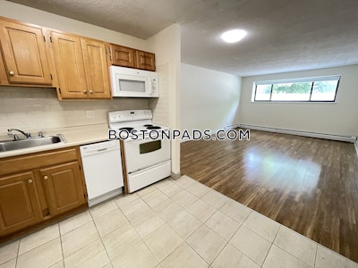Cambridge Apartment for rent 2 Bedrooms 1 Bath  Mt. Auburn/brattle/ Fresh Pond - $2,800 No Fee