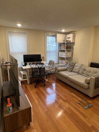 Brookline Apartment for rent 1 Bedroom 1 Bath  Brookline Village - $2,750