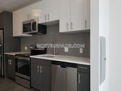 Brighton 2 bedroom 2 baths Luxury in BOSTON Boston - $3,525